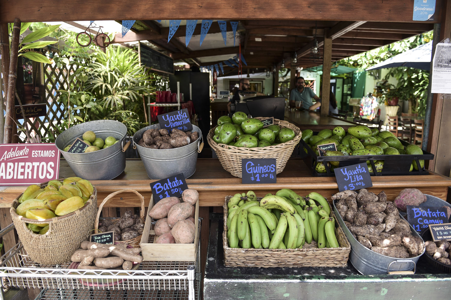 Puerto Rico Locally Grown